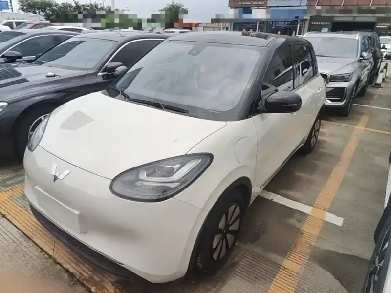 Wuling Bingo