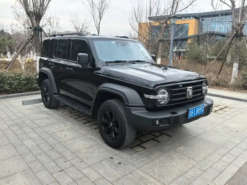 Tank 300