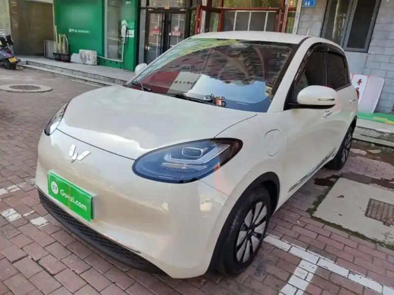 Wuling Bingo