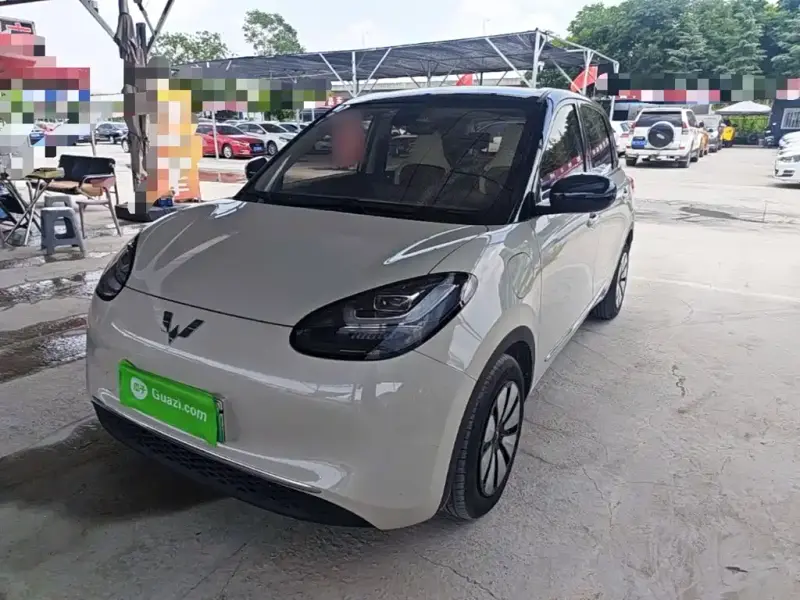 Wuling Bingo