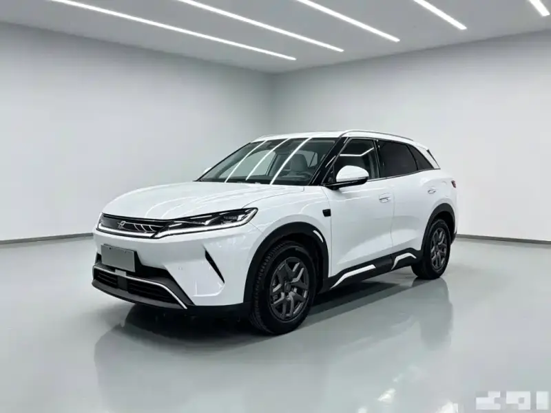BYD Atto 2 (Yuan UP)