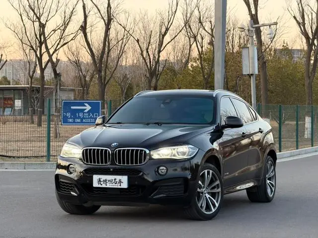 BMW X6