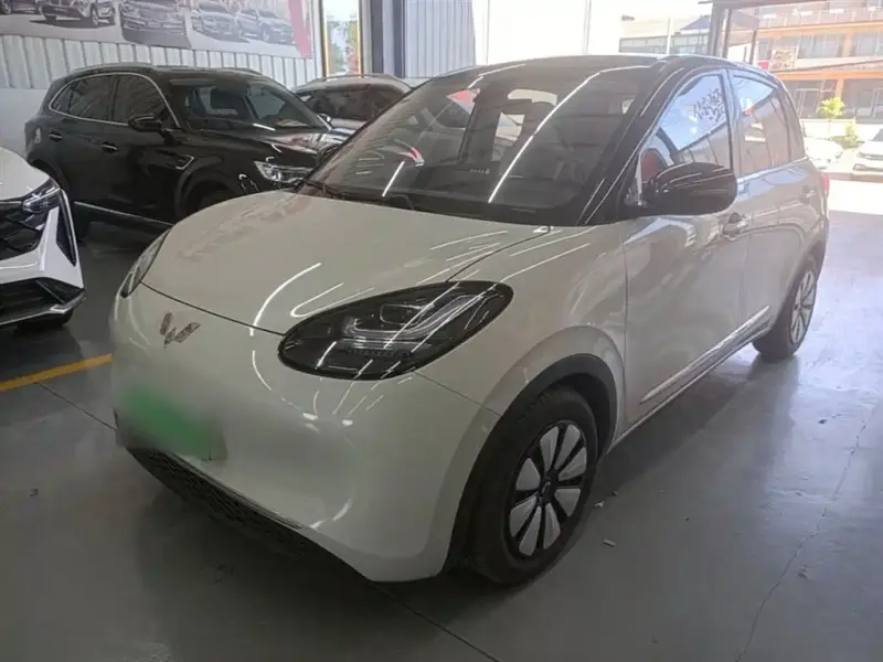 Wuling Bingo