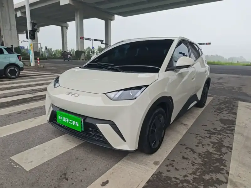 BYD Seagull