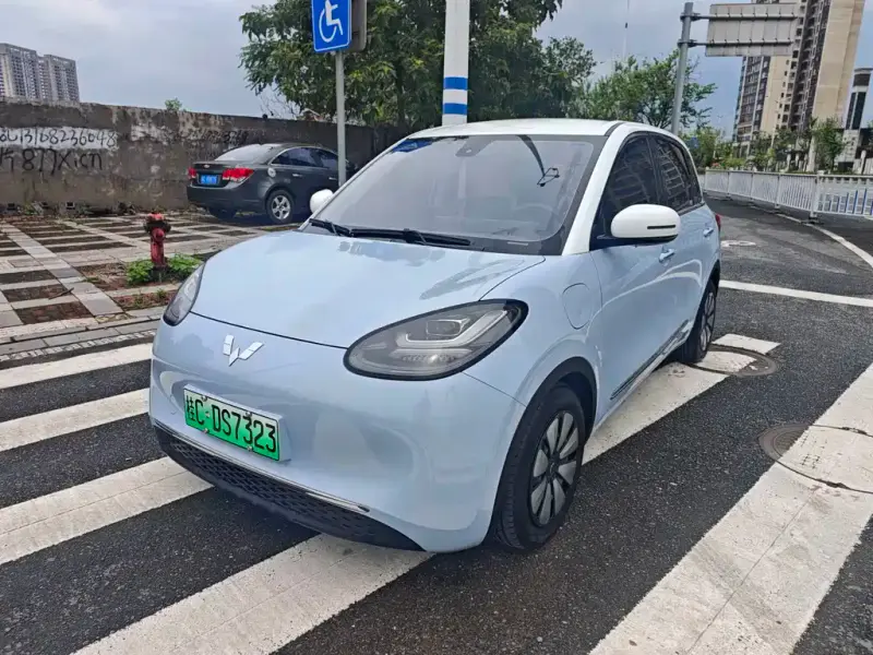 Wuling Bingo