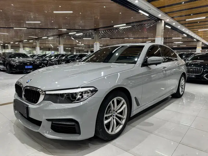 BMW 5 Series (Import)