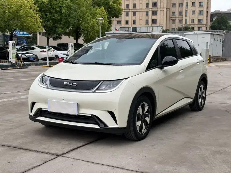 BYD Dolphin