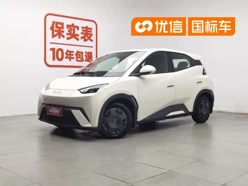 BYD Seagull