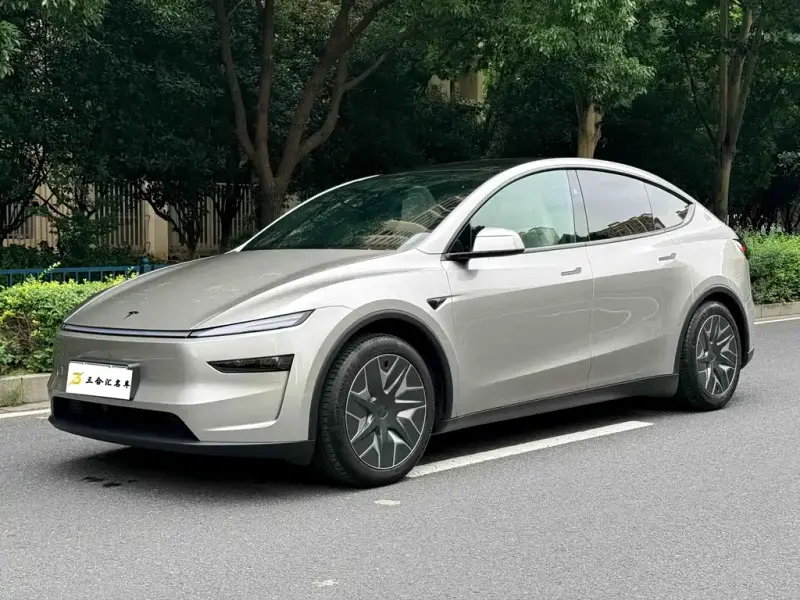 Tesla Model Y L