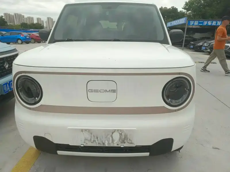 Galaxy Panda Mini (Panda)