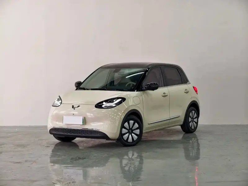 Wuling Bingo