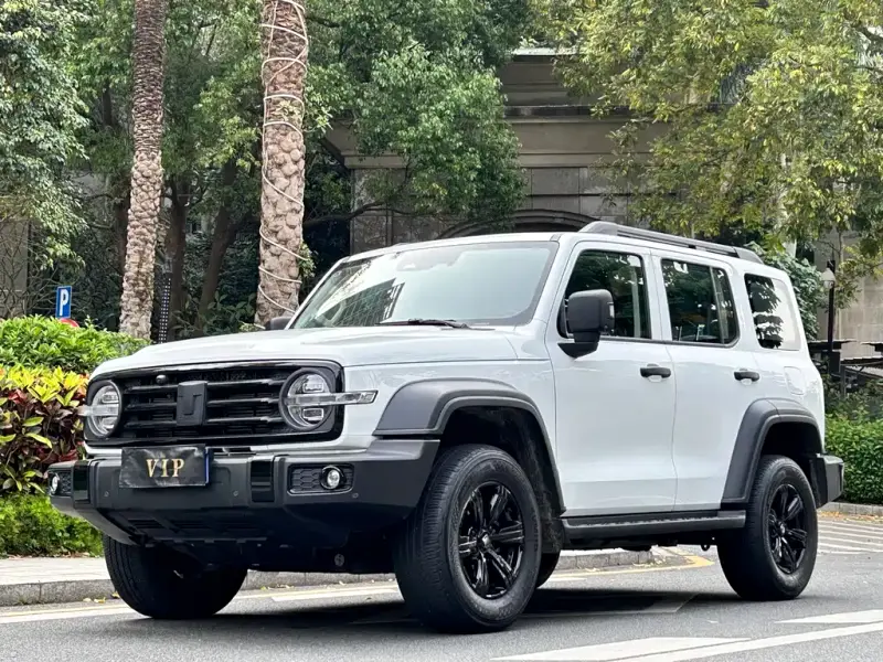 Tank 300