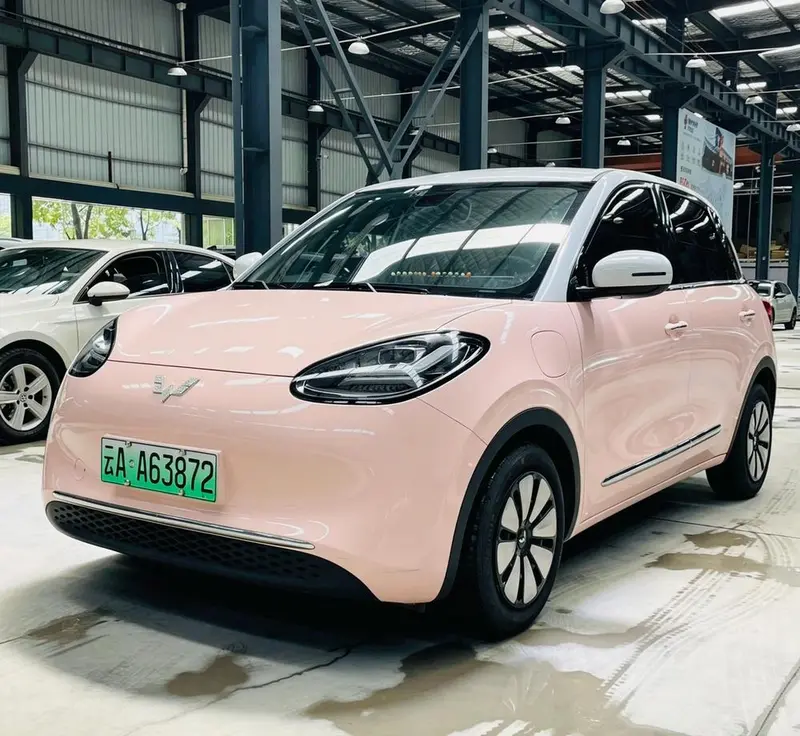 Wuling Bingo