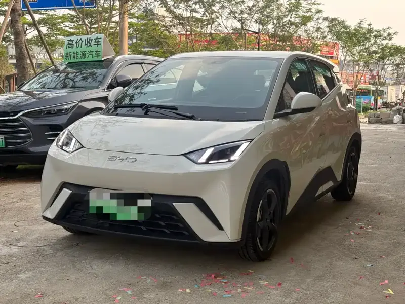 BYD Seagull