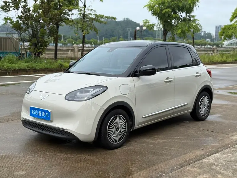 Wuling Bingo