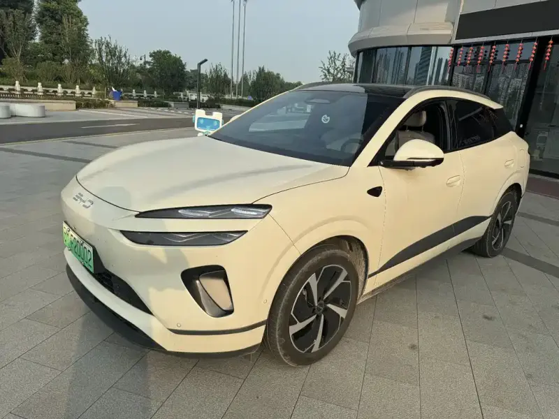 BYD Sea Lion 06