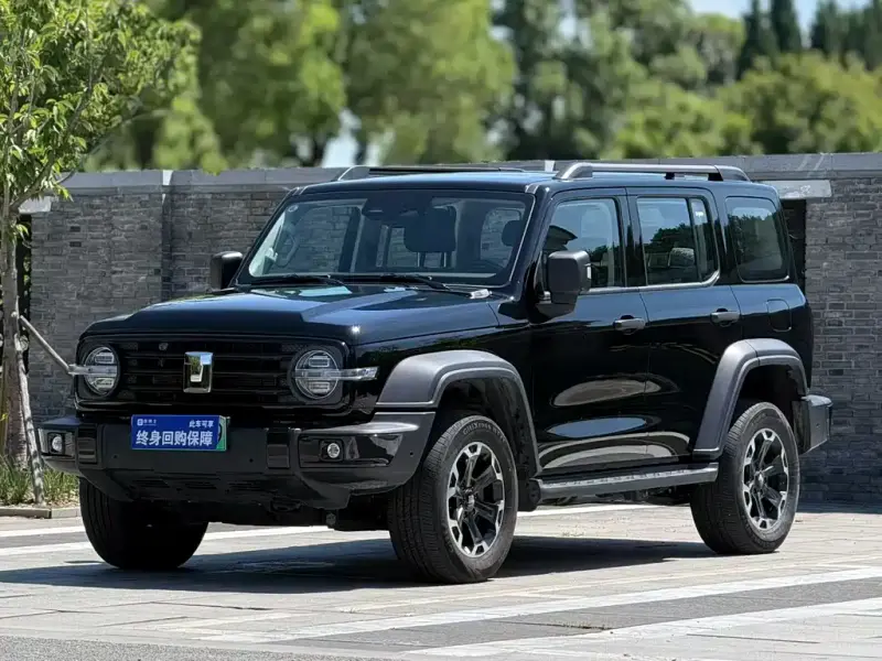 Tank 300