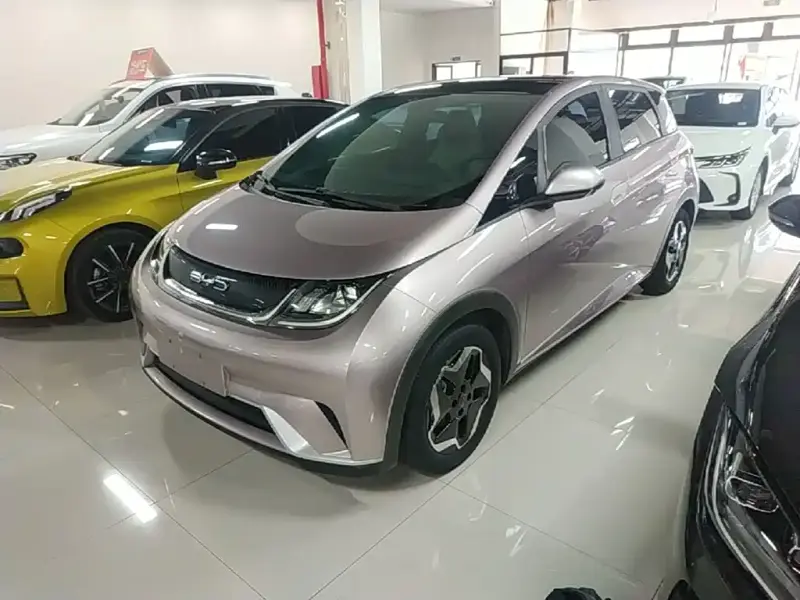 BYD Dolphin