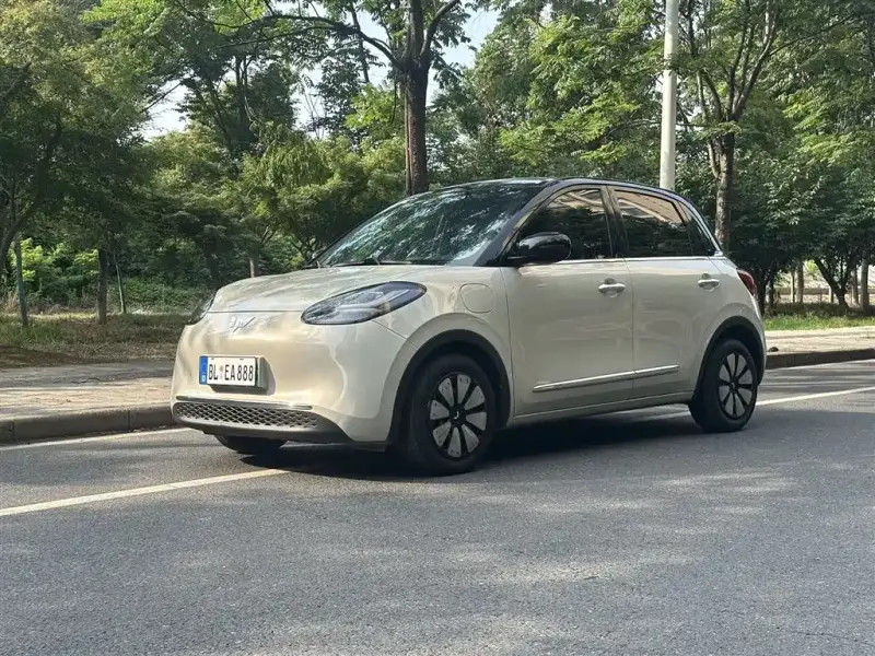 Wuling Bingo