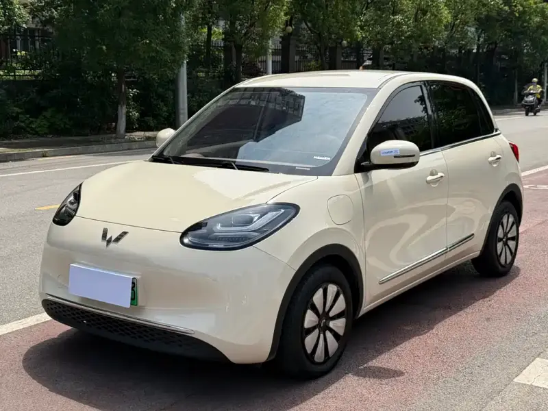 Wuling Bingo