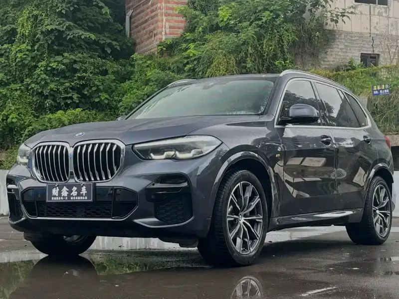 BMW X5
