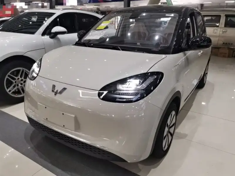 Wuling Bingo