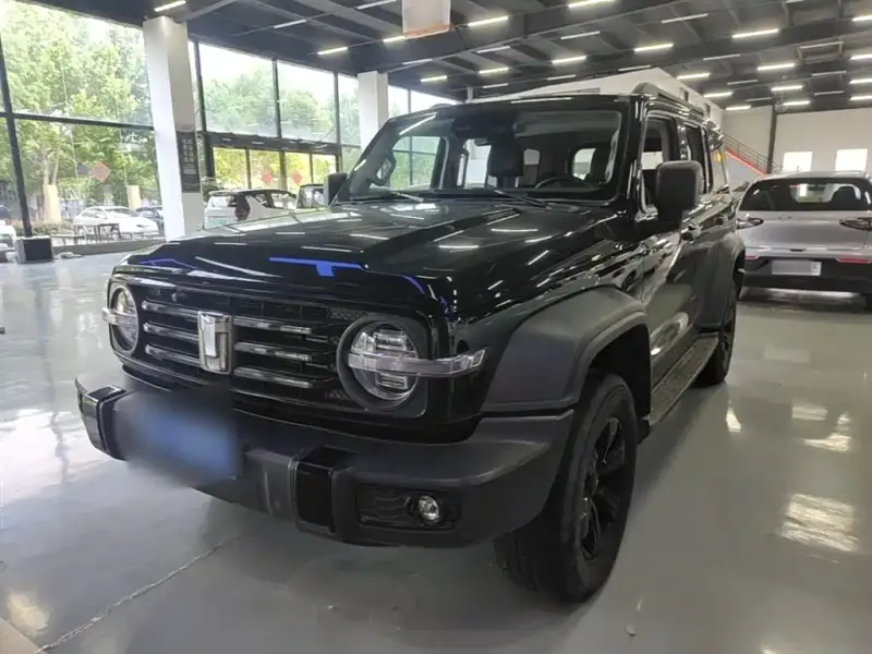 Tank 300
