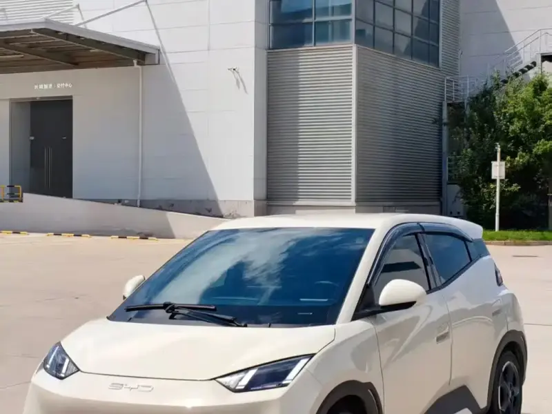 BYD Seagull