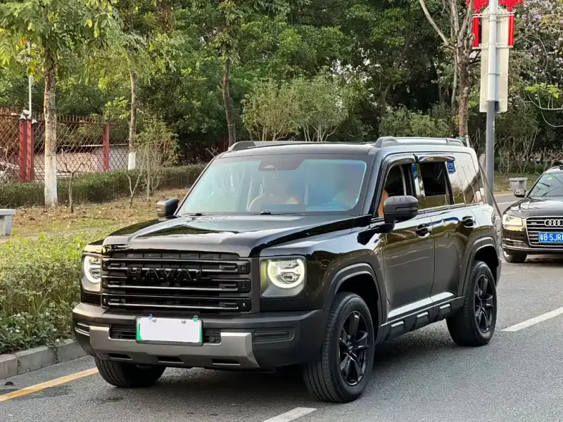 Haval Menglong New Energy
