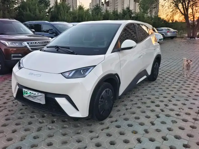 BYD Seagull
