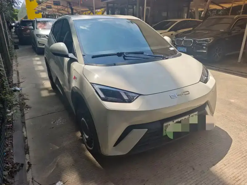 BYD Seagull