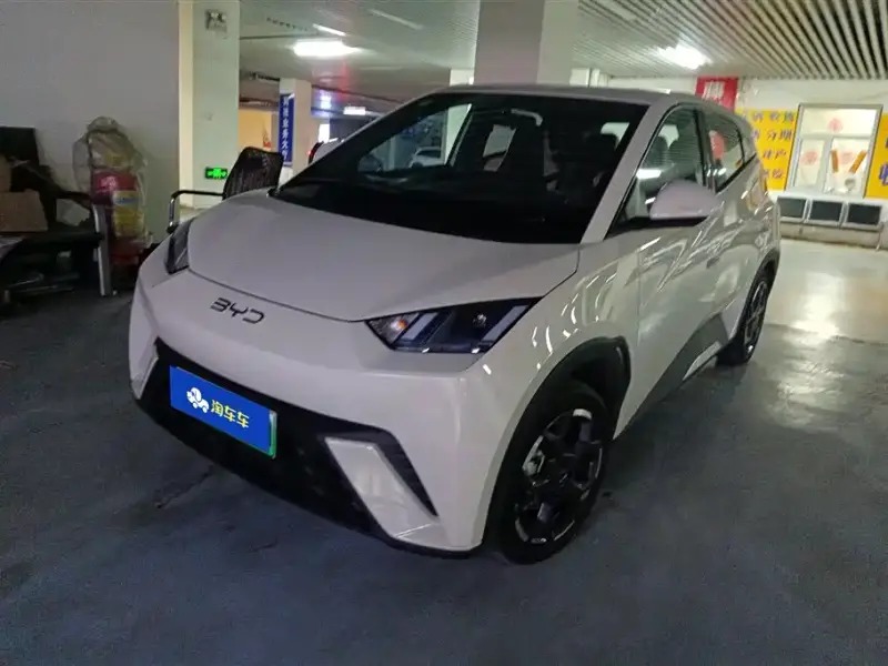 BYD Seagull