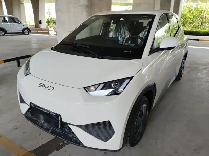 BYD Seagull