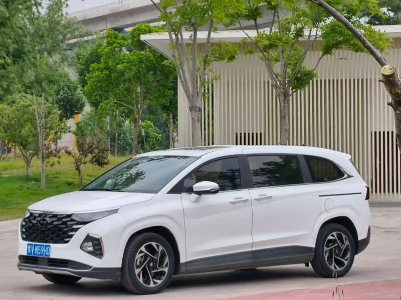 Hyundai Custo