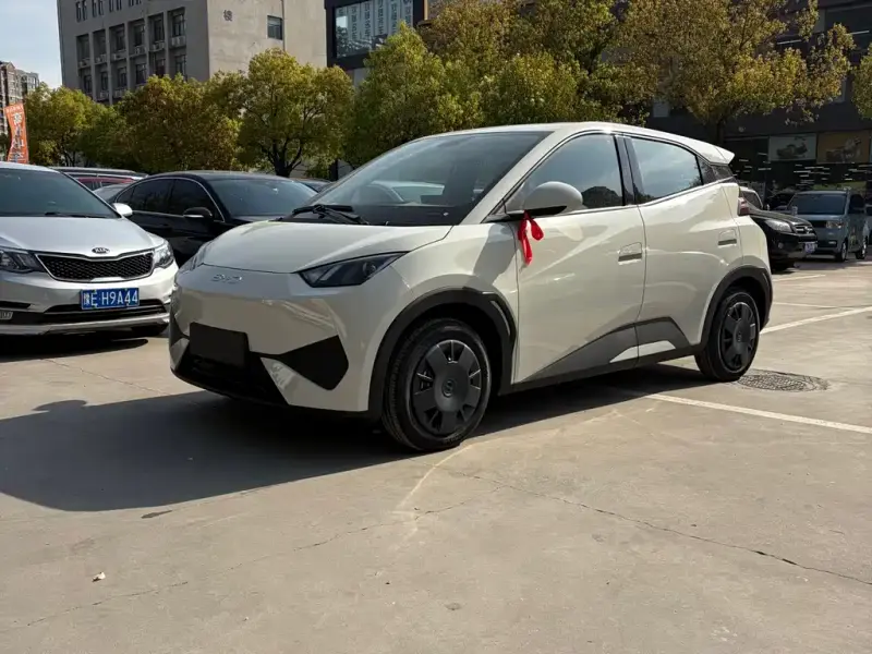 BYD Seagull