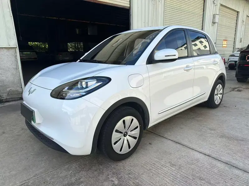 Wuling Bingo