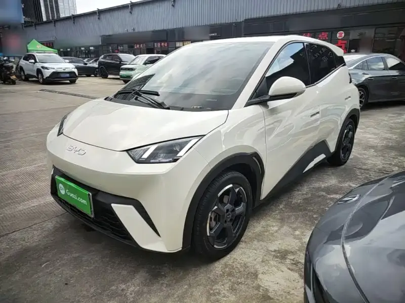 BYD Seagull