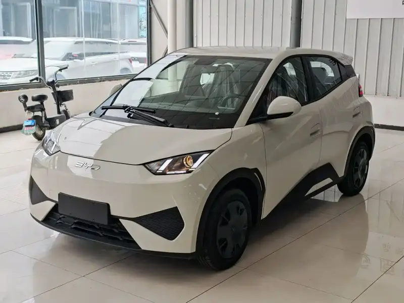 BYD Seagull