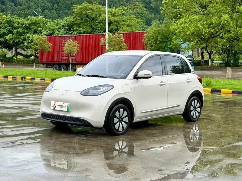 Wuling Bingo