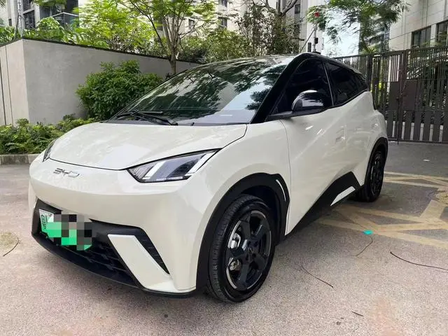 BYD Seagull