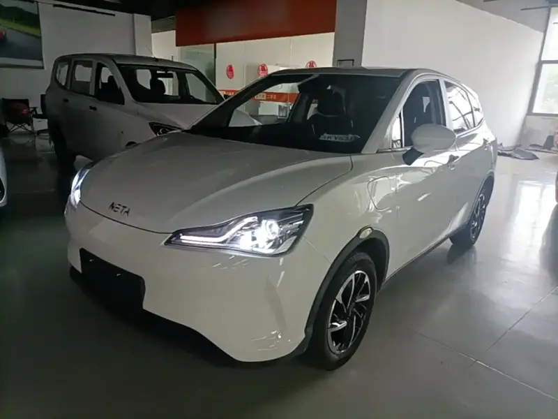 Neta V