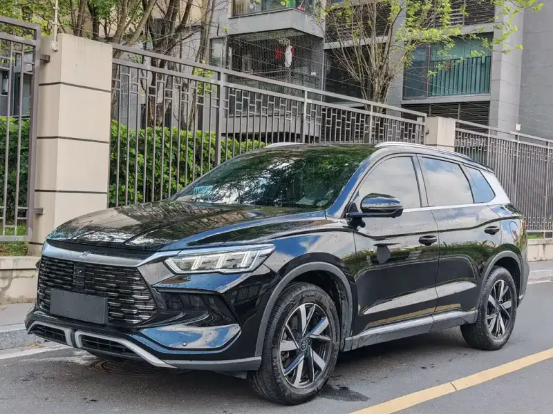 BYD Pro New Energy