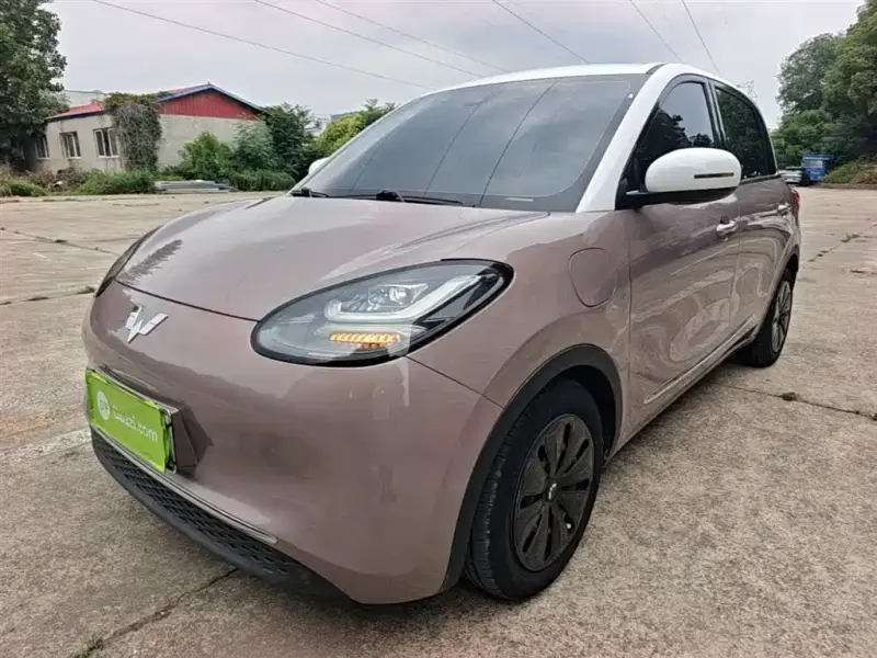 Wuling Bingo