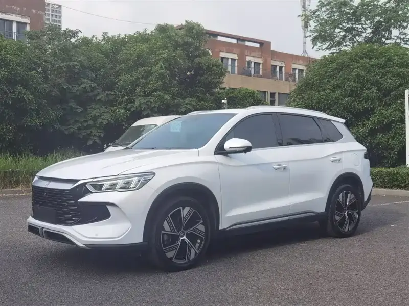 BYD Pro New Energy