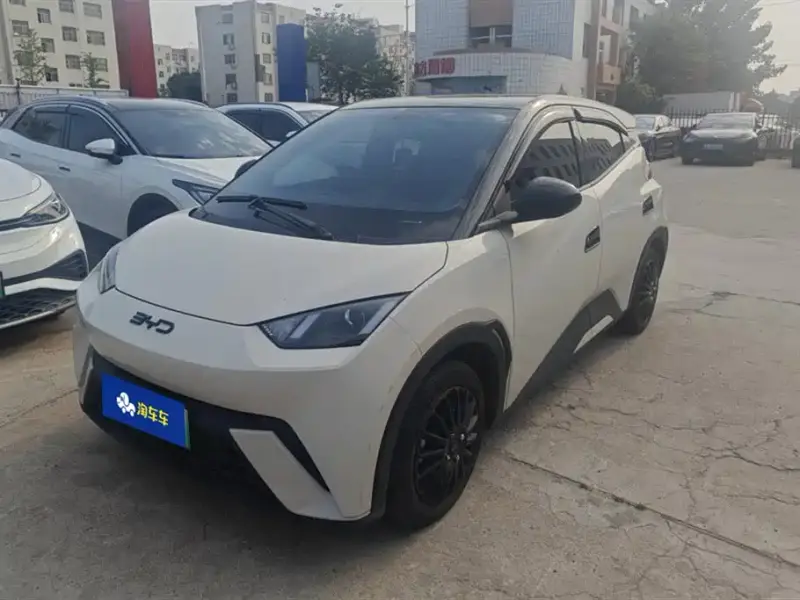 BYD Seagull