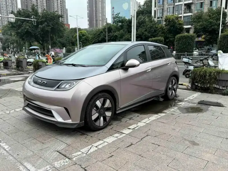 BYD Dolphin