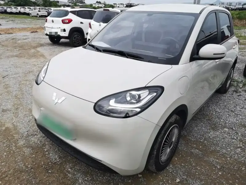 Wuling Bingo