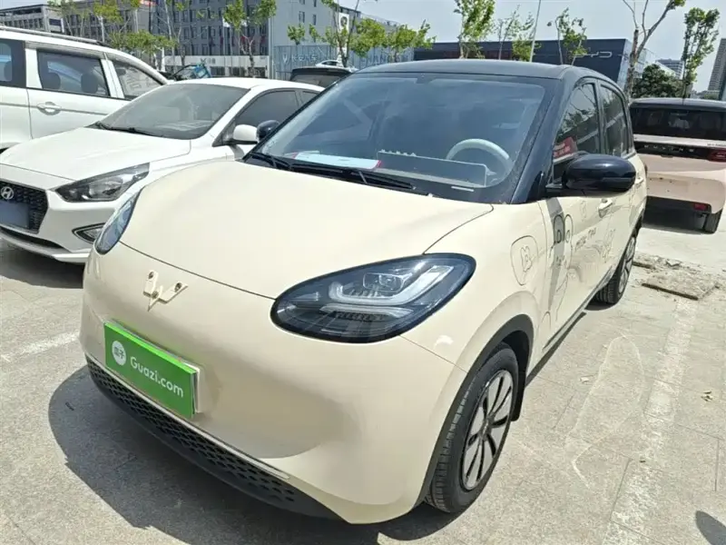 Wuling Bingo