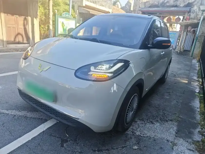 Wuling Bingo