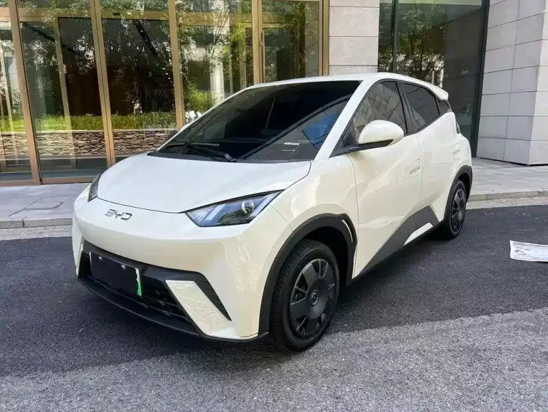 BYD Seagull